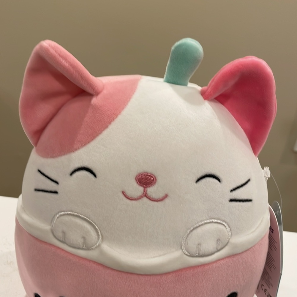 NWT 8β Roxy the Boba π§Cat Squishmallow - Picture 2 of 5